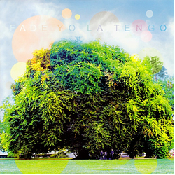 Yo La Tengo Fade Vinyl LP USED