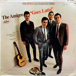 The Amigos "Goes Latin" Vinyl LP USED