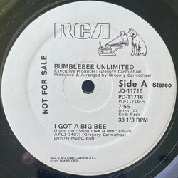 Bumblebee Unlimited I Got A Big Bee / Space Shuttle Ride USED VINYL 12INCH PROMO 33 S RPM