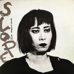 Tenko Slope - ゆるやかな消失 Vinyl LP USED