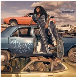 Brittney Spencer My Stupid Life Vinyl LP USED