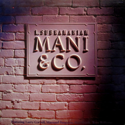 L. Subramaniam Mani & Co. Vinyl LP USED