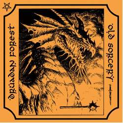 Druadan Forest / Old Sorcery (2) Druadan Forest / Old Sorcery Vinyl LP USED