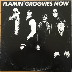 The Flamin' Groovies Now Vinyl LP USED