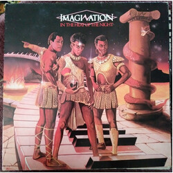 Imagination In The Heat Of The Night Vinyl LP USED