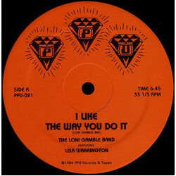 The Loni Gamble Band / Lisa Warrington I Like The Way You Do It Vinyl 12" USED