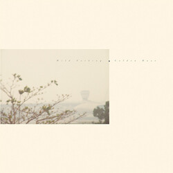 Wild Nothing Golden Haze Vinyl 12" USED