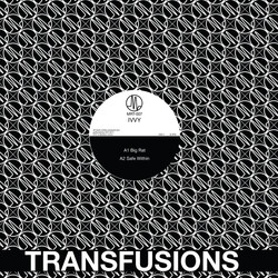 IVVY Safe Within USED VINYL 12INCH 45 RPM