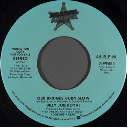 Billy Joe Royal Old Bridges Burn Slow Vinyl 7" USED