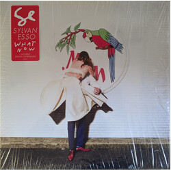 Sylvan Esso What Now Vinyl LP USED