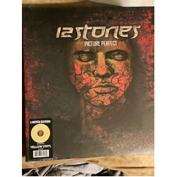 12 Stones Picture Perfect Vinyl LP USED