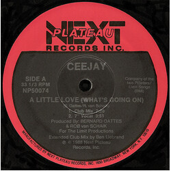 Ceejay A Little Love (What's Going On) Vinyl 12" USED