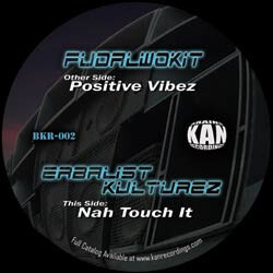Fudalwokit / Erbalist Kulturez Positive Vibez / Nah Touch It USED VINYL 12INCH