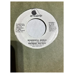 Anthony Watson (2) Wonderful World Vinyl 7" USED