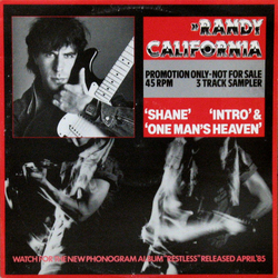 Randy California Shane Vinyl 12" USED
