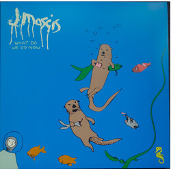 J Mascis What Do We Do Now Vinyl LP USED