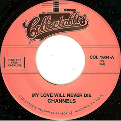 The Channels My Love Will Never Die / Bye Bye Baby Vinyl 7" USED