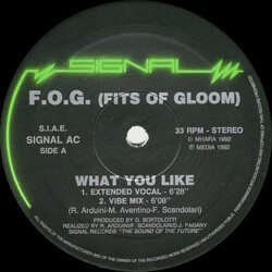 Fits Of Gloom What You Like Vinyl 12" USED