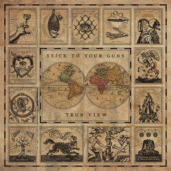 Stick To Your Guns True View Vinyl LP USED
