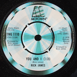 Rick James You And I Vinyl 7" USED