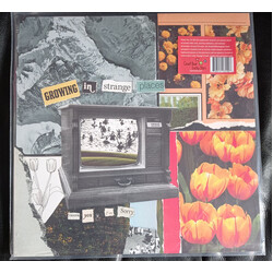 Thank You, I'm Sorry Growing in Strange Places Vinyl LP USED