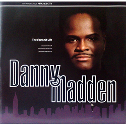 Danny Madden The Facts Of Life Vinyl 12" USED