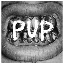 Pup (3) Pup Vinyl LP USED