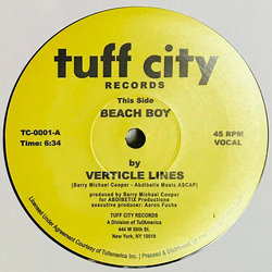 Verticle Lines Beach Boy Vinyl 12" USED