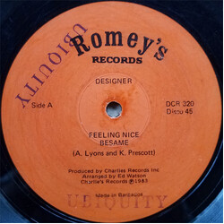 Designer (3) Feeling Nice / Besame Vinyl 12" USED