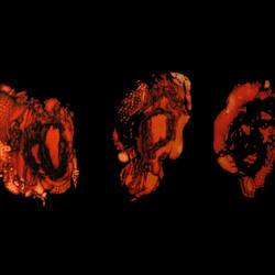 Deathspell Omega Kénôse Vinyl LP USED