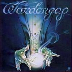Wondergap Wondergap Vinyl LP USED