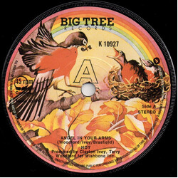 Hot Angel In Your Arms Vinyl 7" USED