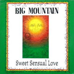 Big Mountain Sweet Sensual Love Vinyl 7" USED