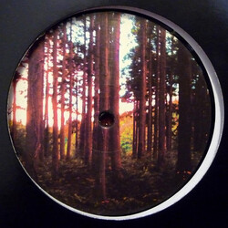 Morphosis (2) The TEPCO Report Vinyl 12" USED
