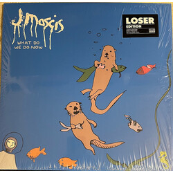 J Mascis What Do We Do Now Vinyl LP USED