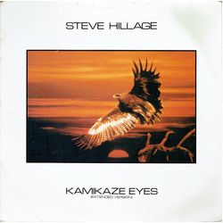 Steve Hillage Kamikaze Eyes Vinyl 12" USED