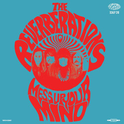 The Reverberations Mess Up Your Mind Vinyl LP USED