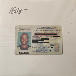 JPEGMAFIA Veteran Vinyl LP USED