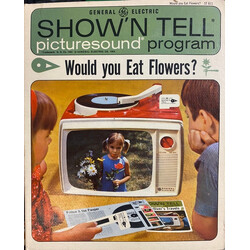 Unknown Artist Would You Eat Flowers? Vinyl 7" USED