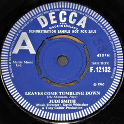 Judi Smith (2) Leaves Come Tumbling Down Vinyl 7" USED