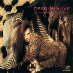 Dead Or Alive Sophisticated Boom Boom CD USED