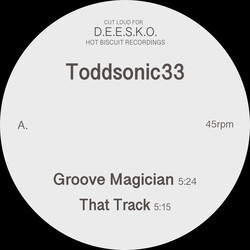 Toddsonic33 Groove Magician Vinyl 12" USED
