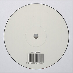 Bjork Wanderlust Vinyl 12" USED