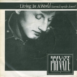Private Lives Living In A World (Turned Upside Down) Vinyl 7" USED
