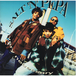 Salt 'N' Pepa Very Necessary CD USED