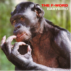 Babybird The F-Word Vinyl 7" USED