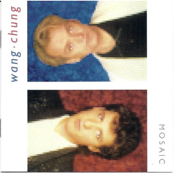 Wang Chung Mosaic CD USED