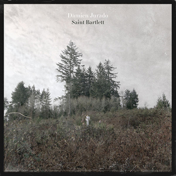 Damien Jurado Saint Bartlett Vinyl LP USED