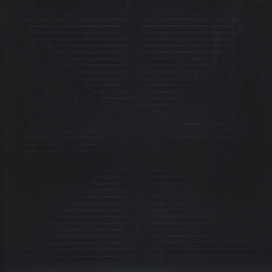 These New Puritans Hidden Vinyl LP USED