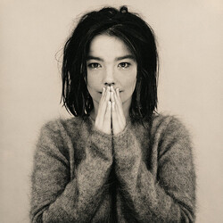 Bjork Debut Vinyl LP USED
